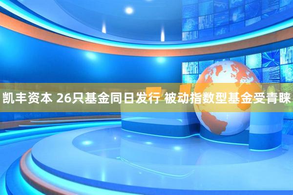 凯丰资本 26只基金同日发行 被动指数型基金受青睐