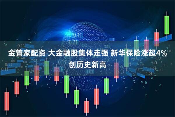 金管家配资 大金融股集体走强 新华保险涨超4%创历史新高